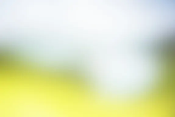 פוקטווין קזינו תמיכה